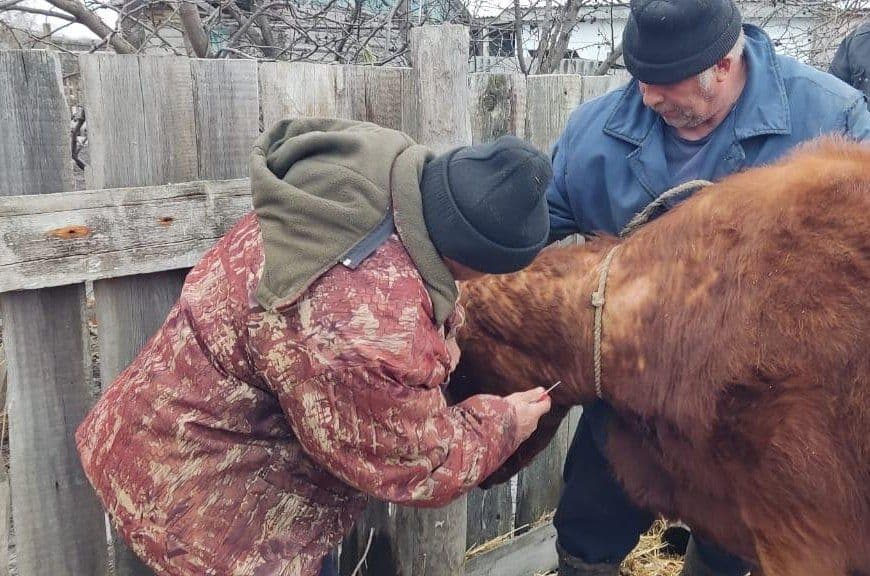 Сколько стоят невыданные перчатки? Дело ветврача из Костанайской области может изменить жизнь его коллег в Казахстане