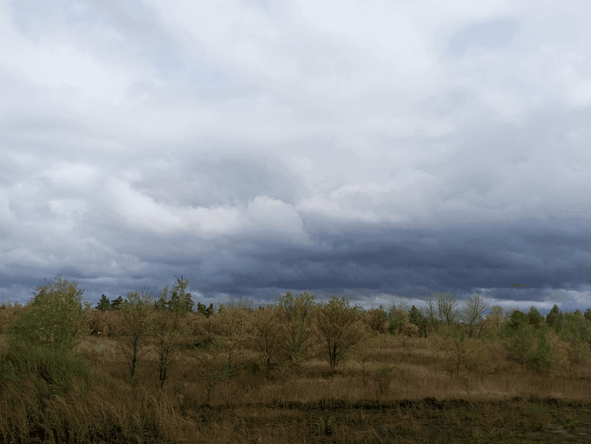 Подожди дожди-дожди... - О погоде ближайших дней в Костанайской области
