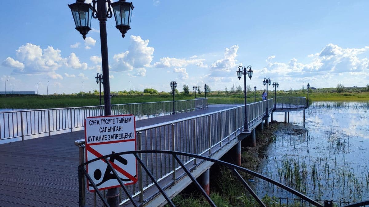 Двух лебедей планируют поселить на озере "Тарелочка" в Костанае