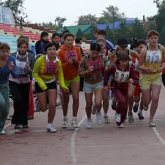 Разница в условиях тренировок