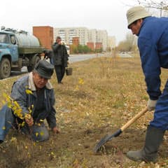 Догнать и перегнать себя