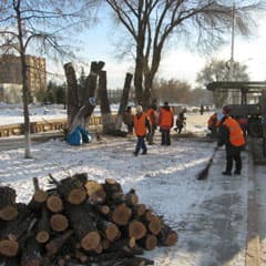 Откуда дровишки? Из сквера вестимо
