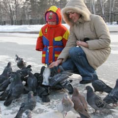 Лучшее средство от стресса