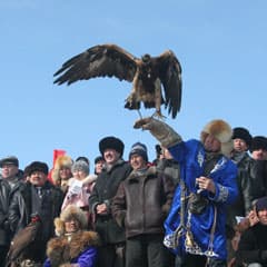 «Беркуты - это наша болезнь»