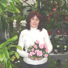 Переселение цветов в квартире
