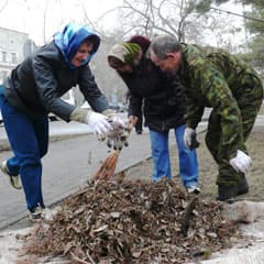 Выносим сор из избы