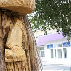 Под старым тополем - школа...
