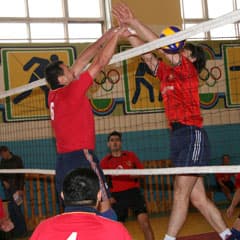 Три фаворита чемпионата области