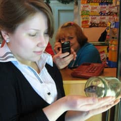 Крыс и все, все, все