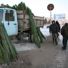 Кто соберет больше?