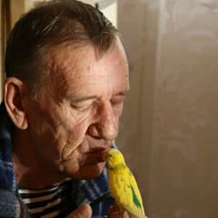 Свободу попугаям!