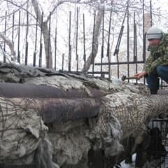 Итог акции: 26 участков закрыты