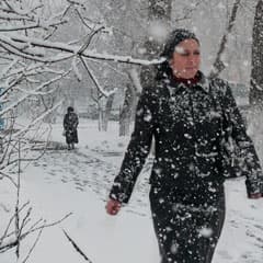 Не аномалия, но все-таки редкость
