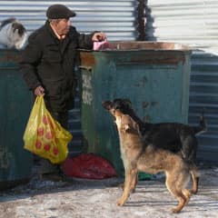 Смертельная царапина