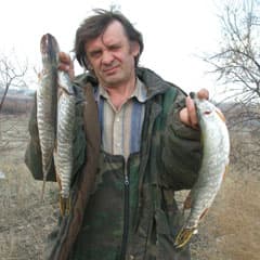 Сюрпризы «последнего льда»