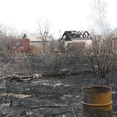 С огнем боролись пожарные и дачники