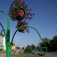 Куда исчезают цветы?