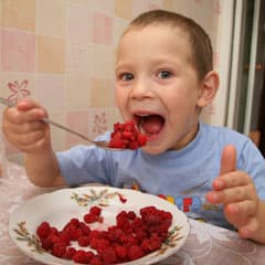 Советы из малинника
