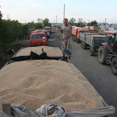 Половина площадей убрана