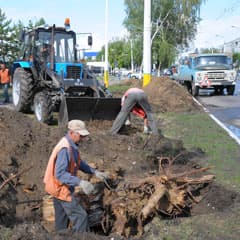 Парковка вместо деревьев