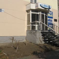 Вместо яблонь - одни пеньки