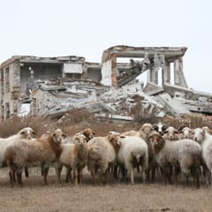 Про суть тюнтюгурского вопроса...