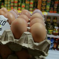 Яйца - к январю, мясо - позже