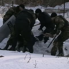 Задержали с помощью «Осы»