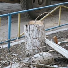 Аким дал команду