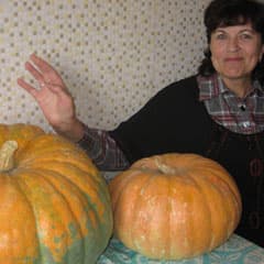Салат «со сквознячком»