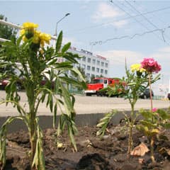 Цветы для любимой