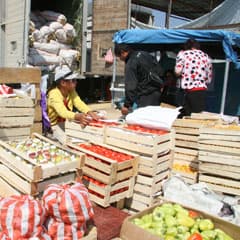 Причины подорожания: град, засуха и политика