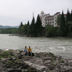 Горный кураж Алтая