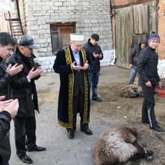 И накормить голодных