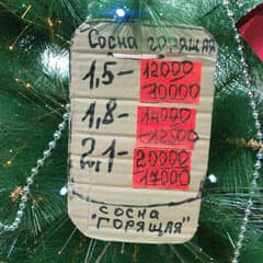 Ну-ка, елочка, зажгись!