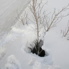 Колодцы на двух перекрестках