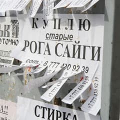 Пробеги и пробелы