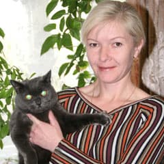 Три кота доктора Пономаренко