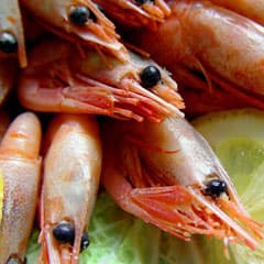 Остро и с чесноком