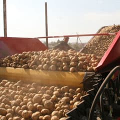 7 продуктов против повышения цен