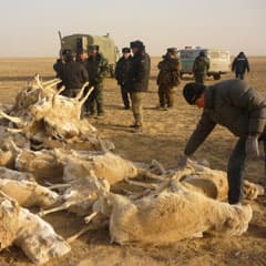 Кто природу охраняет, тот за нее и платит