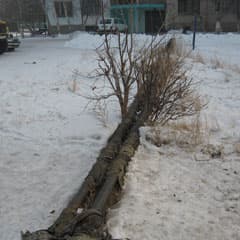 Шесть прорех на одной трубе