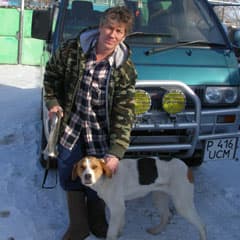 Куда подевались нынче зайцы?