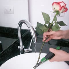 Чтобы букет не завял