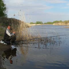 Плотвичники и окунятники торжествуют