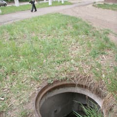 Ловушка возле детского дома