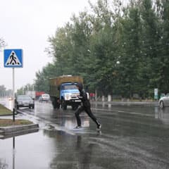 «Зебра» осталась в «заповедниках»