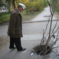 Сухая ветка - знак опасности