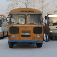 Газовый транспорт, как исчезающий вид
