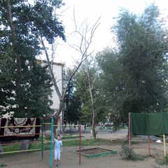 Где-то спилили, где-то - нет